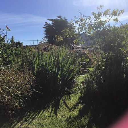 Wellspring Cottage Nr Kynance Cove ليزارد المظهر الخارجي الصورة