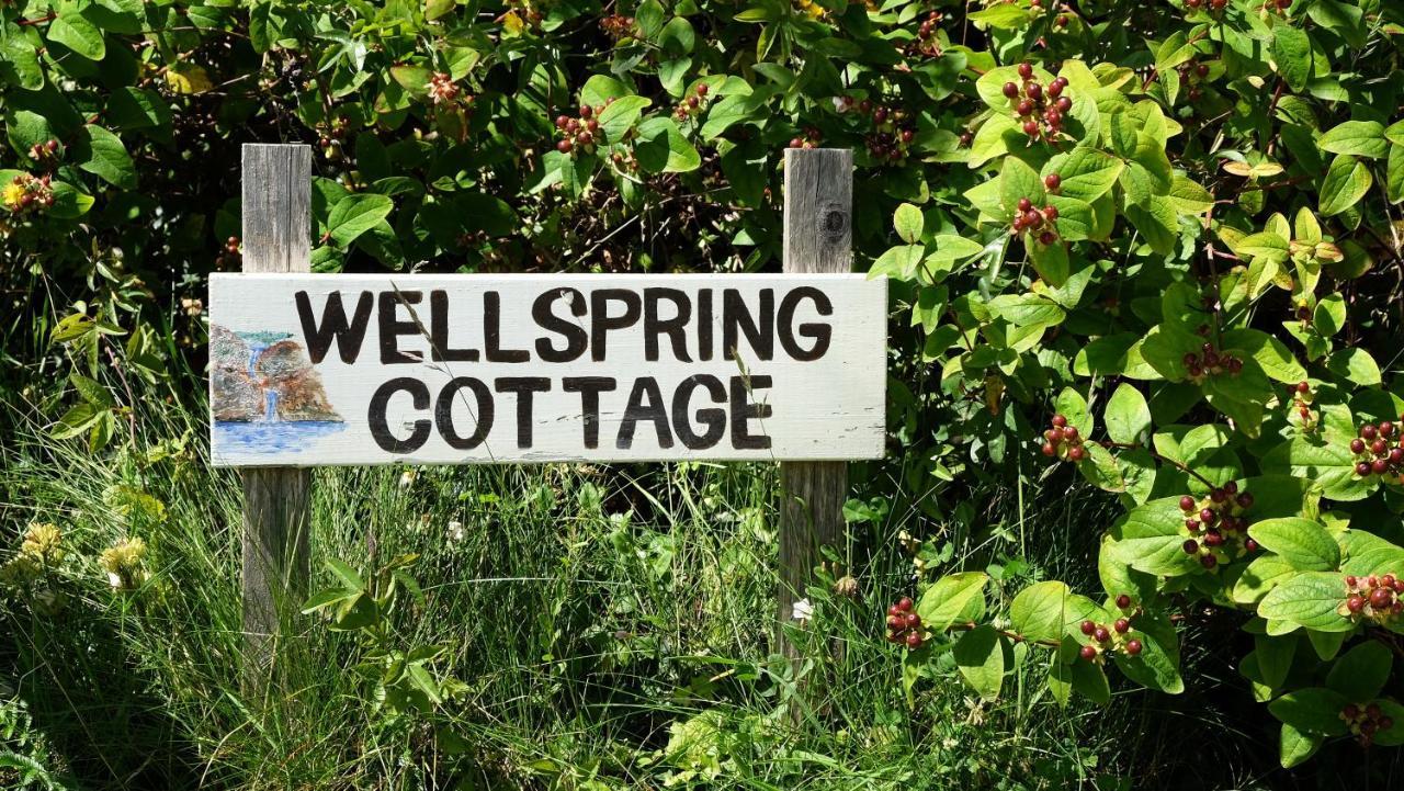 Wellspring Cottage Nr Kynance Cove ليزارد المظهر الخارجي الصورة