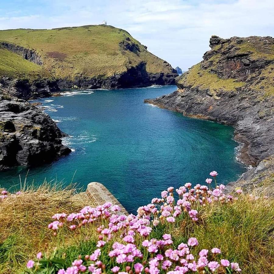 Wellspring Cottage Nr Kynance Cove ليزارد المظهر الخارجي الصورة
