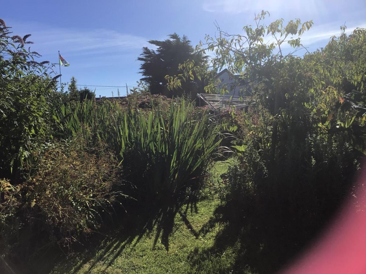 Wellspring Cottage Nr Kynance Cove ليزارد المظهر الخارجي الصورة